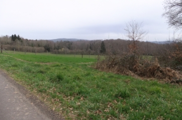 SAINT-GEORGES-DE-MONS-puy-de-dome
