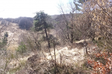 COL DES GOULES - PUY DE JUME - PUY DE LOUCHADIERE-puy-de-dome