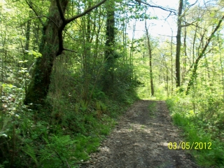BOIS DE BORDES - BOIS D ANGAIS - BOIS DE BEUSTE-basque