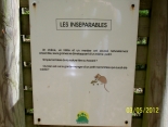 BOIS DE BORDES - BOIS D ANGAIS - BOIS DE BEUSTE-basque