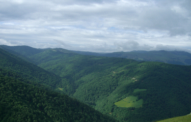 TOUR DE LA FORET DE HAYRA-basque