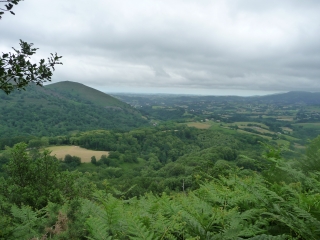 IBANTELI - PALOMBIERES DE SARE-basque