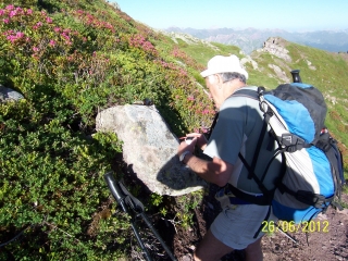 COL D AYOUS - CHEMIN DE LA MATURE-basque