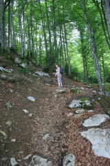 PIC DE LARAILLE - PIC DE LA CHOURIQUE-basque
