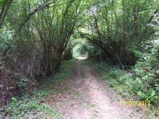 ETAPE DU GR653 DEPUIS LACOMMANDE -basque