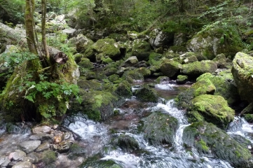 SOURCE DE LA NIVE - GROTTE HARPEA-basque