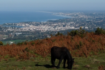 MANDALE ET XOLDOKOGAINA-basque