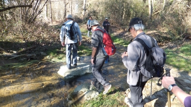 CAMPAGNE BEARNAISE-basque