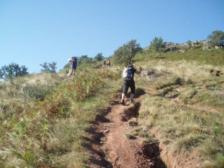 BIDARRAY - PIC D IPARLA-basque