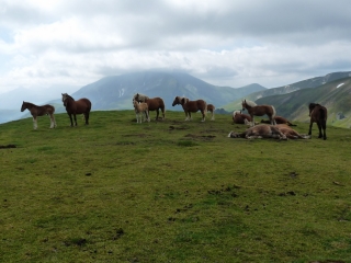 LE BIZKARZE ET LES CRETES DE MILLAGATE-basque