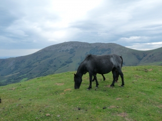 COL DE LEGARRE - GOROSPIL (2)-basque