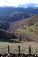 UREPEL - HAUZAI-basque