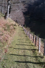 UREPEL - HAUZAI-basque