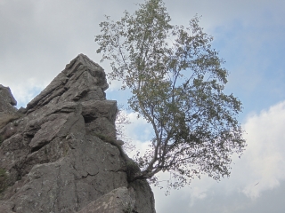 PENAS DE ICHUSI-basque