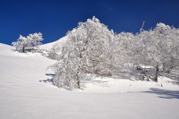 CABANE DE COUSCOUILLA ET VALLON DU BAYLE-basque