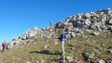 GOSNAISTO - ADARZA-basque