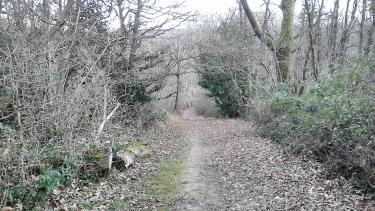 SALIES-BERNATERE-basque