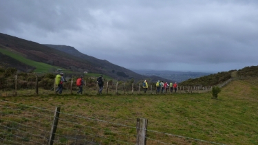 SARE - SUHALMENDI - ST IGNACE-basque