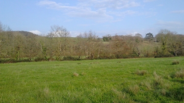 SALIES-DE-BEARN - BEIGMAU - LES ANTYS-basque