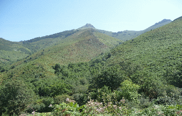 La Rhune (LARRUN)-basque
