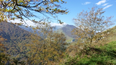 LOGIBAR - PASSERELLE D HOLZARTE-basque
