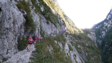 ETSAUT - CHEMIN DE LA MATURE-basque