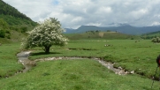 BILHERES - ESCURETS - COL DE MARIE BLANQUE-basque