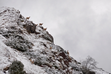 LE SOUPERET EN RAQUETTES EN VALLEE D ASPE -basque