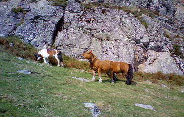 Ascain - La rhune-basque