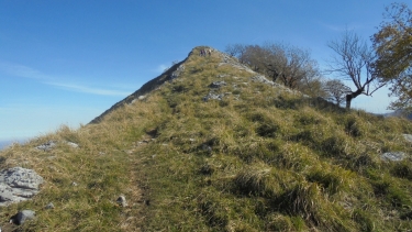 CASTET - MONTAGNE DU REY-basque