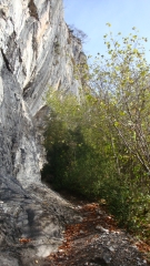 VALLON DU SOUSSOUEOU-basque