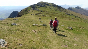 HELETTE - BAIGURA - LAINA - CHANCHO-basque