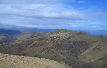 PIC MENDIBEL - ARTHANOLATSEGAINA-basque