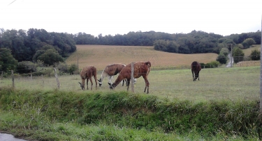 LABASTIDE-VILLEFRANCHE - ESCOS-basque