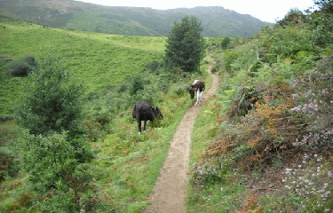 GR10 (1)-HENDAYE - ESTERENCUBY-basque