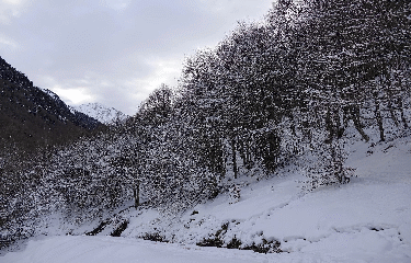 pyrenees - PIC DE CHERUE EN BOUCLE ET EN RAQUETTE A NEIGE