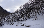 PIC DE CHERUE EN BOUCLE ET EN RAQUETTE A NEIGE-basque