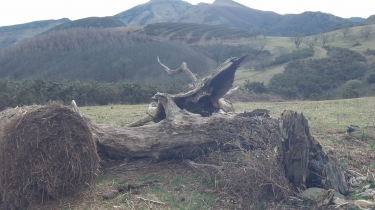 MOKOA - ONEAGA DEPUIS HERBOURE-basque