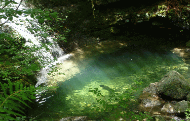 SOURCE DE LA BIDOUZE-basque