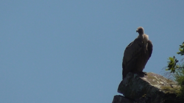 LA TRAVERSEE DU COL D IZPEGI VERS BIDARRAY-basque