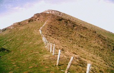 LASSE - UREPEL-basque