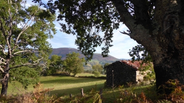 MUNHOA - ADARZA - OYLARANDOY-basque