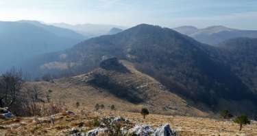 ETXEKORTEA - FORET DES ARBAILLES-basque