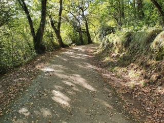 BIARRITZ - CHEMIN DES LACS-basque