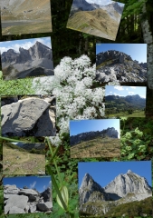 DEC DE LHURS EN BOUCLE DEPUIS ANAPIA-basque