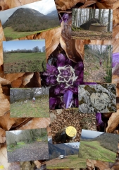 PIC DU MONBULA DEPUIS LES AOULES EN A/R-basque