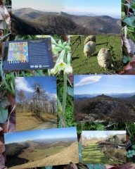 PIC ETXECORTIA-basque