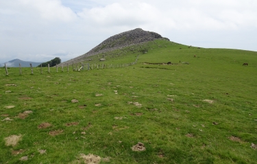 la-narbonnaise-en-mediterranee - LOHILUZE/OKORO