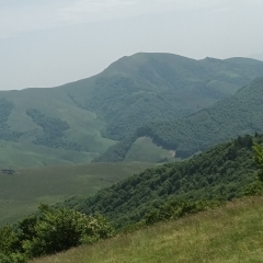 FORêT D'IRATY (BASSE NAVARRE 64) COL OKABE ALT.1456M-basque