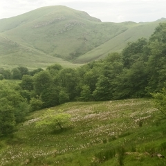 FORêT D'IRATY (BASSE NAVARRE 64) COL OKABE ALT.1456M-basque